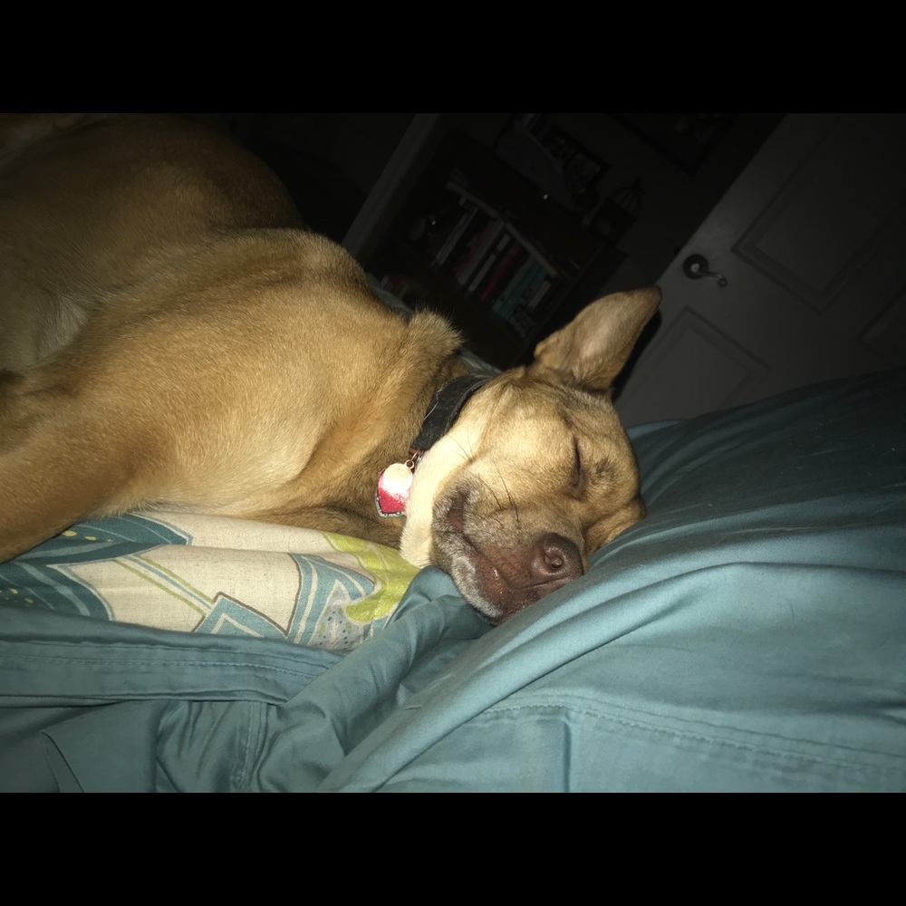 Meet your Posher, Crystal